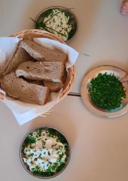 Teden zdravja v OS Mirna (11)